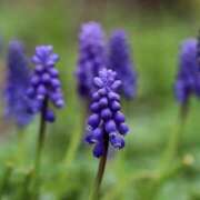 ヒメ日記 2025/05/18 11:41 投稿 みよ 待ちナビ