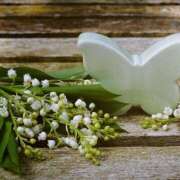 ヒメ日記 2025/05/19 08:40 投稿 みよ 待ちナビ