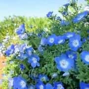 ヒメ日記 2025/05/20 10:05 投稿 みよ 待ちナビ