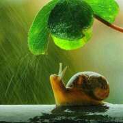 ヒメ日記 2025/05/24 09:45 投稿 みよ 待ちナビ