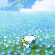 ヒメ日記 2025/05/27 12:13 投稿 みよ 待ちナビ