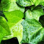 ヒメ日記 2025/05/30 10:05 投稿 みよ 待ちナビ