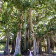 ヒメ日記 2025/06/01 11:18 投稿 みよ 待ちナビ