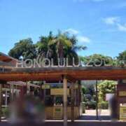 ヒメ日記 2025/06/01 11:27 投稿 みよ 待ちナビ