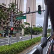 ヒメ日記 2025/06/02 08:55 投稿 みよ 待ちナビ