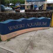 ヒメ日記 2025/06/03 10:34 投稿 みよ 待ちナビ