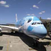 ヒメ日記 2025/06/04 07:05 投稿 みよ 待ちナビ