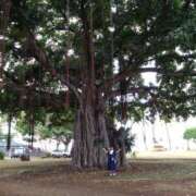 ヒメ日記 2025/06/05 09:25 投稿 みよ 待ちナビ