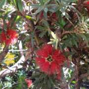 ヒメ日記 2025/06/06 08:25 投稿 みよ 待ちナビ