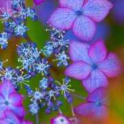 ヒメ日記 2025/06/11 08:25 投稿 みよ 待ちナビ