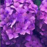 ヒメ日記 2025/06/17 08:25 投稿 みよ 待ちナビ