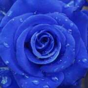 ヒメ日記 2025/11/12 20:45 投稿 みよ 待ちナビ