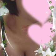 ヒメ日記 2025/11/13 09:26 投稿 みよ 待ちナビ