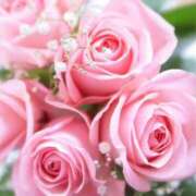 ヒメ日記 2025/11/13 09:35 投稿 みよ 待ちナビ