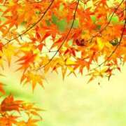 ヒメ日記 2025/11/29 08:49 投稿 みよ 待ちナビ