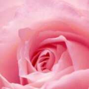 ヒメ日記 2025/11/30 11:55 投稿 みよ 待ちナビ