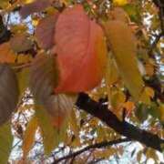 ヒメ日記 2025/12/02 19:35 投稿 みよ 待ちナビ