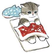 ヒメ日記 2025/12/11 09:01 投稿 みよ 待ちナビ