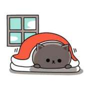 ヒメ日記 2025/12/13 07:56 投稿 みよ 待ちナビ