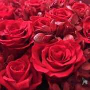 ヒメ日記 2026/01/15 15:57 投稿 みよ 待ちナビ