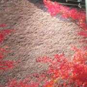 ヒメ日記 2026/01/15 20:36 投稿 みよ 待ちナビ