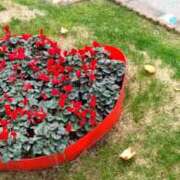 ヒメ日記 2026/01/19 19:00 投稿 みよ 待ちナビ