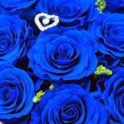 ヒメ日記 2026/01/23 16:40 投稿 みよ 待ちナビ