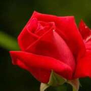 ヒメ日記 2026/02/10 15:15 投稿 みよ 待ちナビ