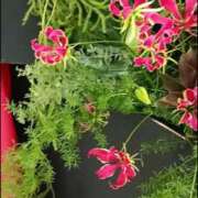 ヒメ日記 2026/02/10 18:39 投稿 みよ 待ちナビ