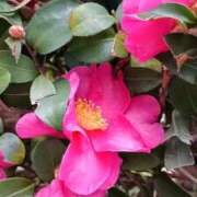 ヒメ日記 2026/02/22 17:25 投稿 みよ 待ちナビ