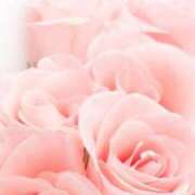 ヒメ日記 2026/02/23 17:25 投稿 みよ 待ちナビ