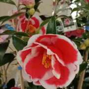 ヒメ日記 2026/02/27 21:02 投稿 みよ 待ちナビ