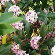 みよ S様へ 待ちナビ