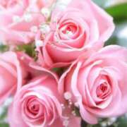 ヒメ日記 2026/03/02 11:55 投稿 みよ 待ちナビ