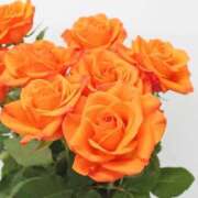 ヒメ日記 2026/03/06 17:31 投稿 みよ 待ちナビ