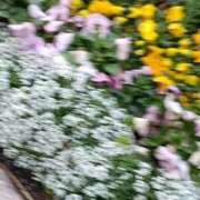 ヒメ日記 2026/03/07 12:18 投稿 みよ 待ちナビ