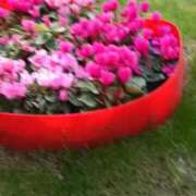 ヒメ日記 2026/03/13 18:45 投稿 みよ 待ちナビ