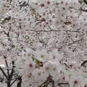 ヒメ日記 2026/04/04 11:25 投稿 みよ 待ちナビ