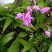 ヒメ日記 2026/04/15 11:05 投稿 みよ 待ちナビ