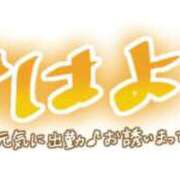 ヒメ日記 2026/04/22 10:05 投稿 みよ 待ちナビ