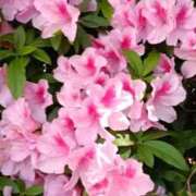 ヒメ日記 2026/04/27 11:29 投稿 みよ 待ちナビ