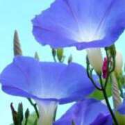 ヒメ日記 2026/07/15 07:55 投稿 みよ 待ちナビ