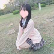 ヒメ日記 2025/11/20 15:00 投稿 せりな『総合SSSSS級候補！キレカワ美少女は経験少なめ』 錦糸町派遣型JKリフレガチあい