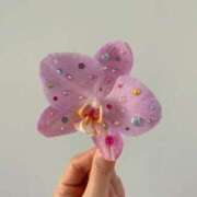 その 昨日だけど… ビデオdeはんど すすきの校