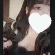 ヒメ日記 2025/04/29 05:58 投稿 ゆあい クラブハート