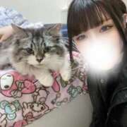 ヒメ日記 2025/03/16 02:22 投稿 有栖せいら＠絞め技スペシャリスト アナラードライ