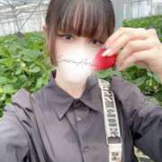 ヒメ日記 2025/05/10 20:37 投稿 有栖せいら＠絞め技スペシャリスト アナラードライ