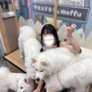 ヒメ日記 2025/06/24 18:50 投稿 有栖せいら＠絞め技スペシャリスト アナラードライ