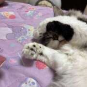 ヒメ日記 2025/09/30 16:05 投稿 有栖せいら＠絞め技スペシャリスト アナラードライ