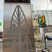 ヒメ日記 2025/05/31 17:49 投稿 あかね 完熟ばなな札幌・すすきの